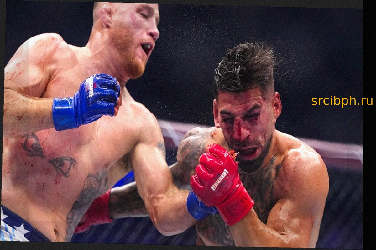 Регулятор UFC опроверг обвинения Илии Топурии в обмане
